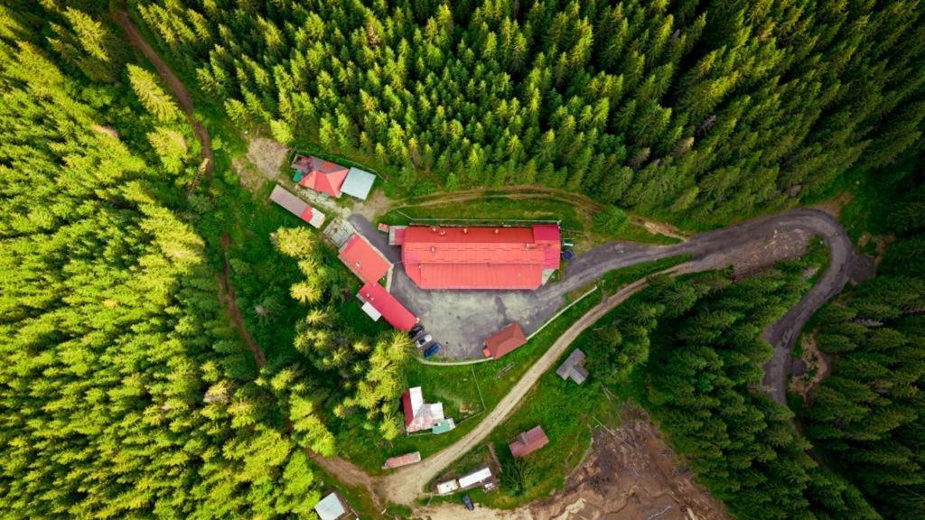 Cabana Cerbul-Oasa-Transalpina Ciban Zewnętrze zdjęcie