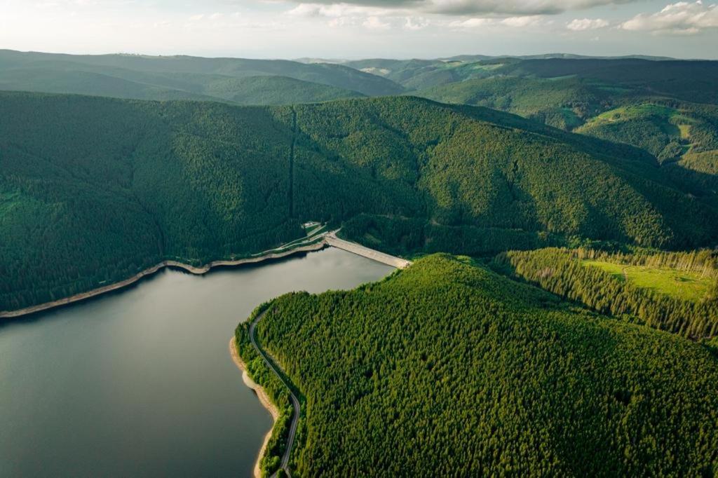 Cabana Cerbul-Oasa-Transalpina Ciban Zewnętrze zdjęcie