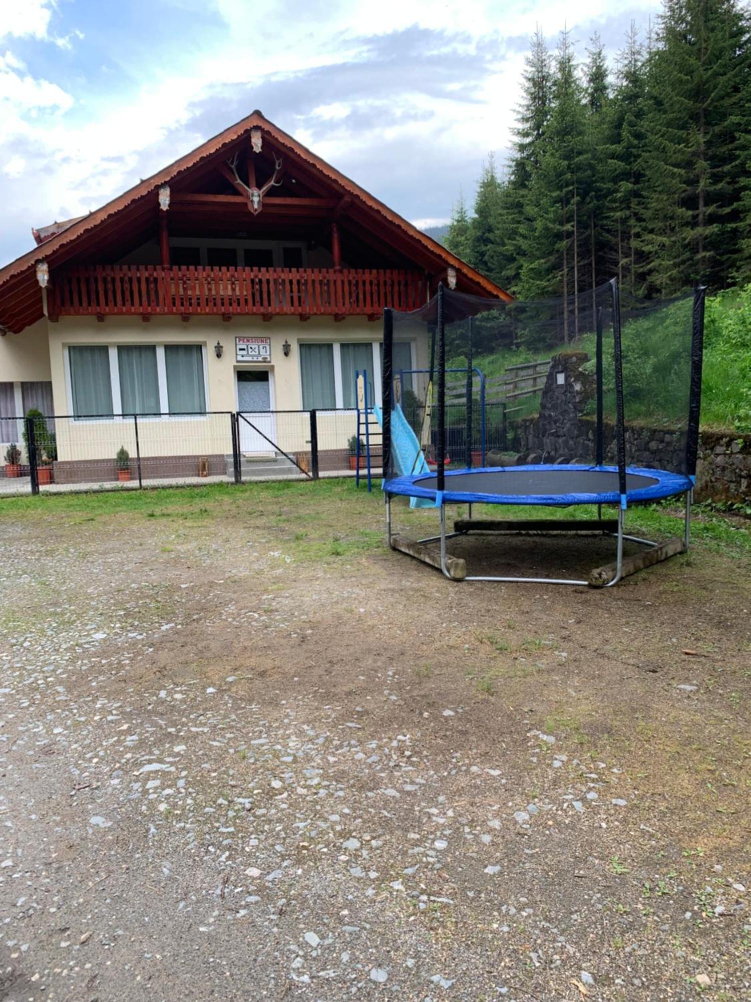 Cabana Cerbul-Oasa-Transalpina Ciban Zewnętrze zdjęcie