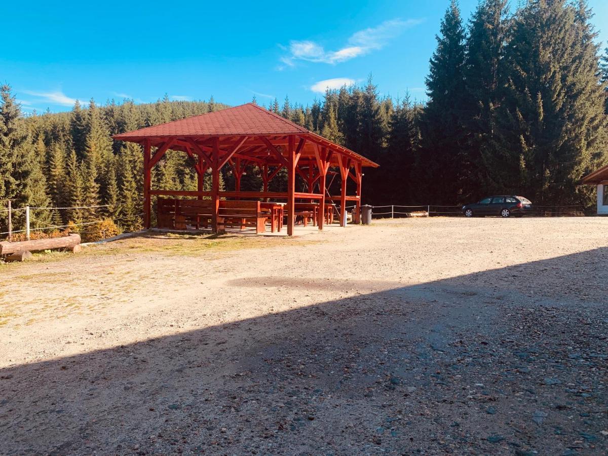 Cabana Cerbul-Oasa-Transalpina Ciban Zewnętrze zdjęcie