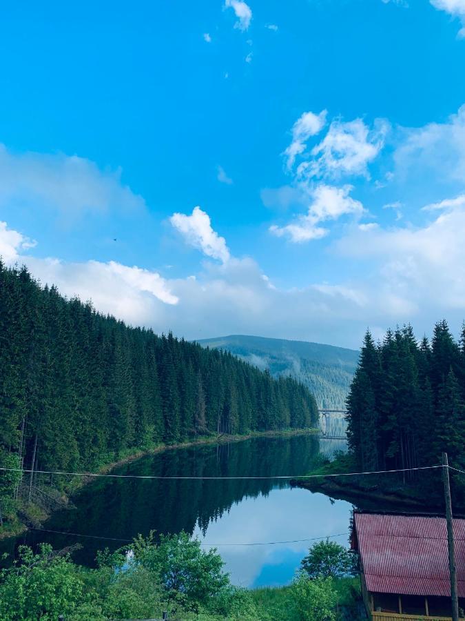Cabana Cerbul-Oasa-Transalpina Ciban Zewnętrze zdjęcie