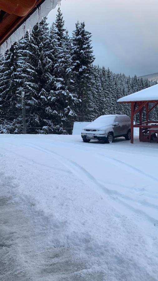 Cabana Cerbul-Oasa-Transalpina Ciban Zewnętrze zdjęcie