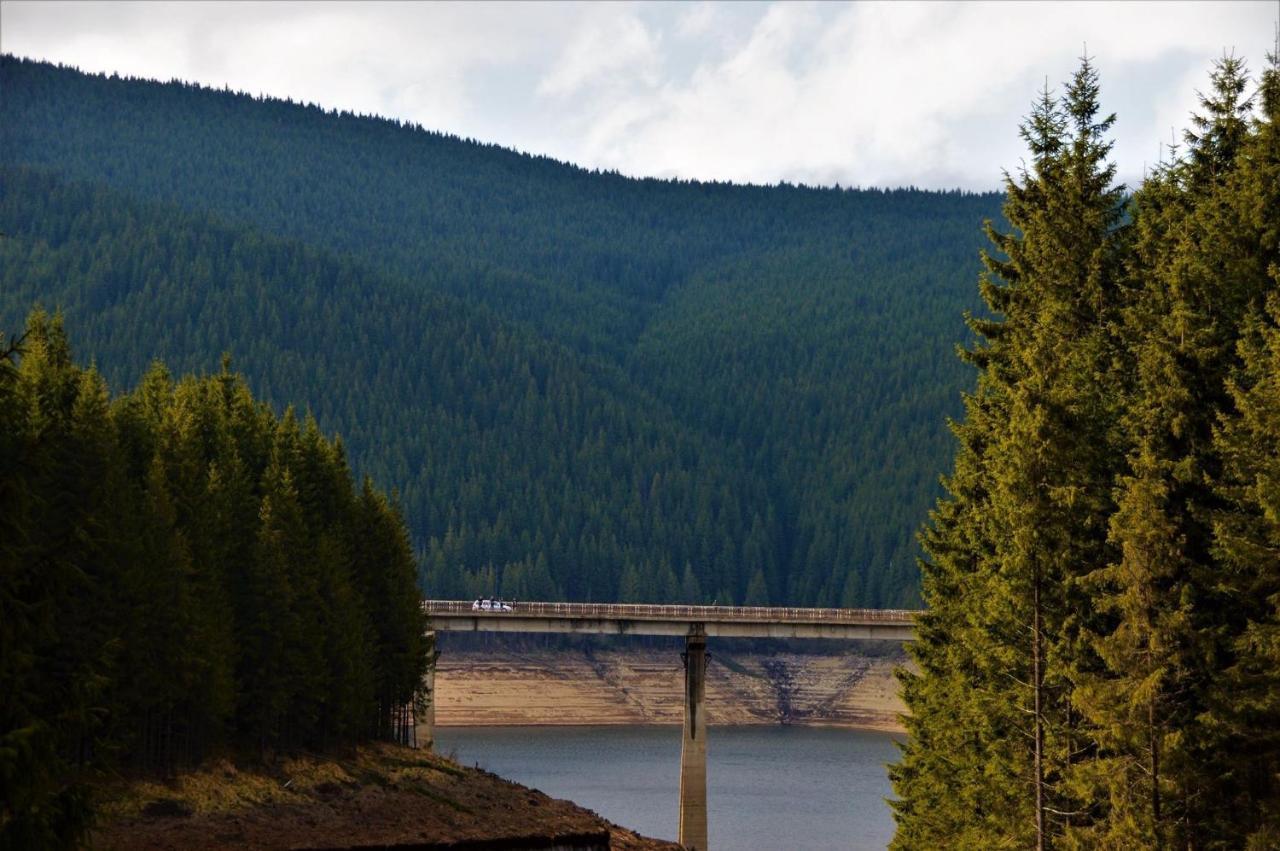 Cabana Cerbul-Oasa-Transalpina Ciban Zewnętrze zdjęcie