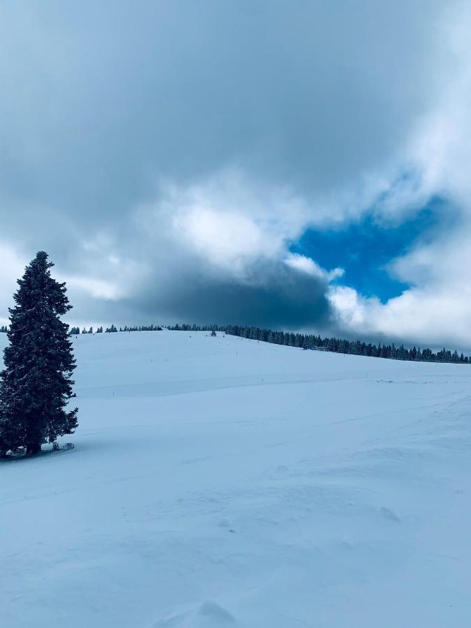 Cabana Cerbul-Oasa-Transalpina Ciban Zewnętrze zdjęcie